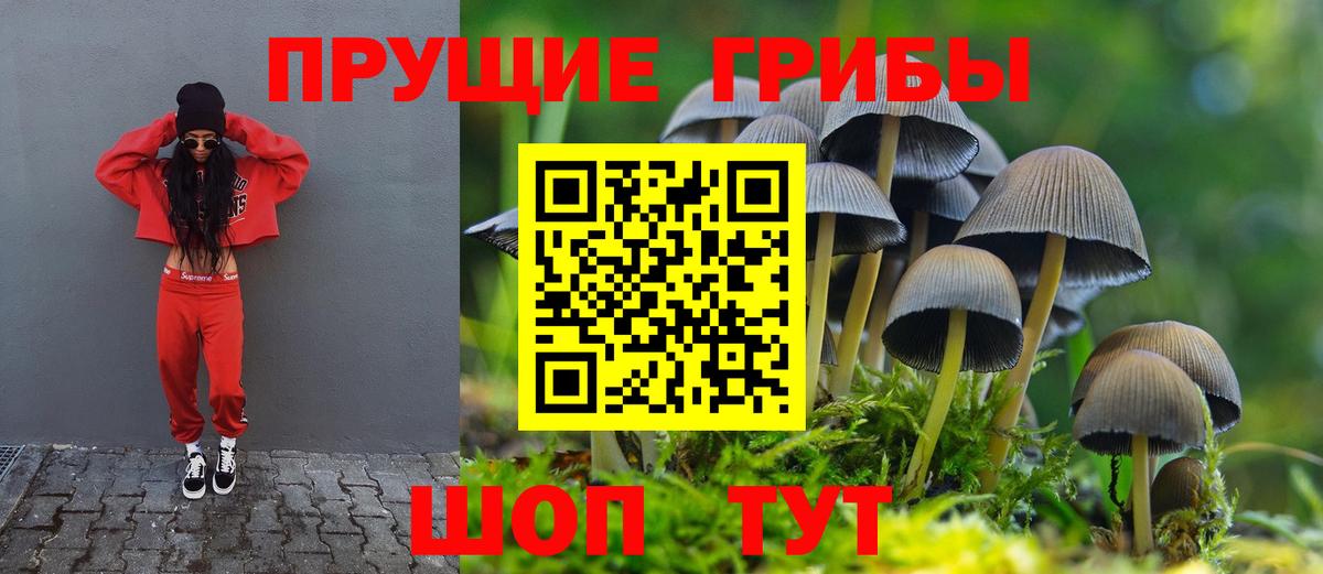 Псилоцибиновые грибы ЛСД  Вход с VPN  Псилоцибиновые грибы ЛСД  Лиски 